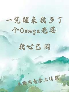 一觉醒来我多了个omega老婆