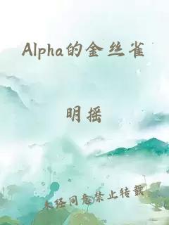 alpha的金丝雀