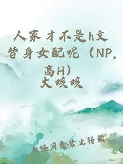 人家才不是h文替身女配呢（np,高h）