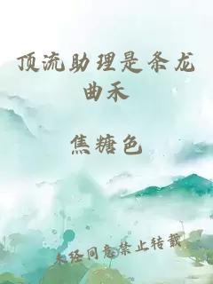 顶流助理是条龙曲禾